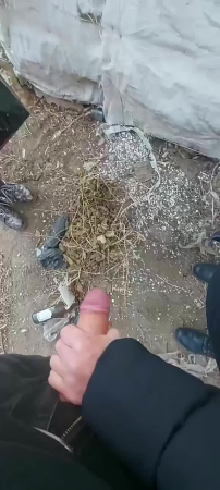 ���� ��� ���������, ������ �������� ������ ����������